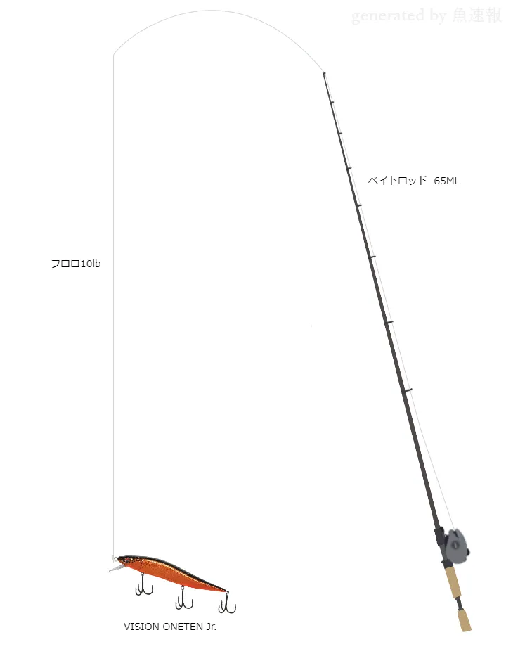 バス釣りに関するタックル、仕掛け図解