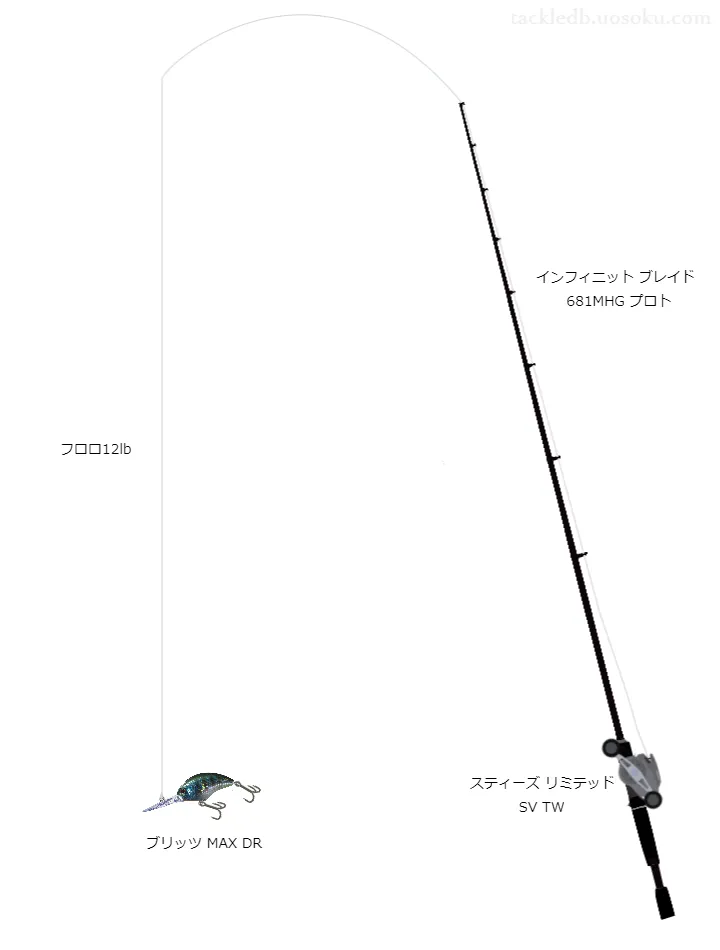 河口湖ブリッツMAX DR用タックル