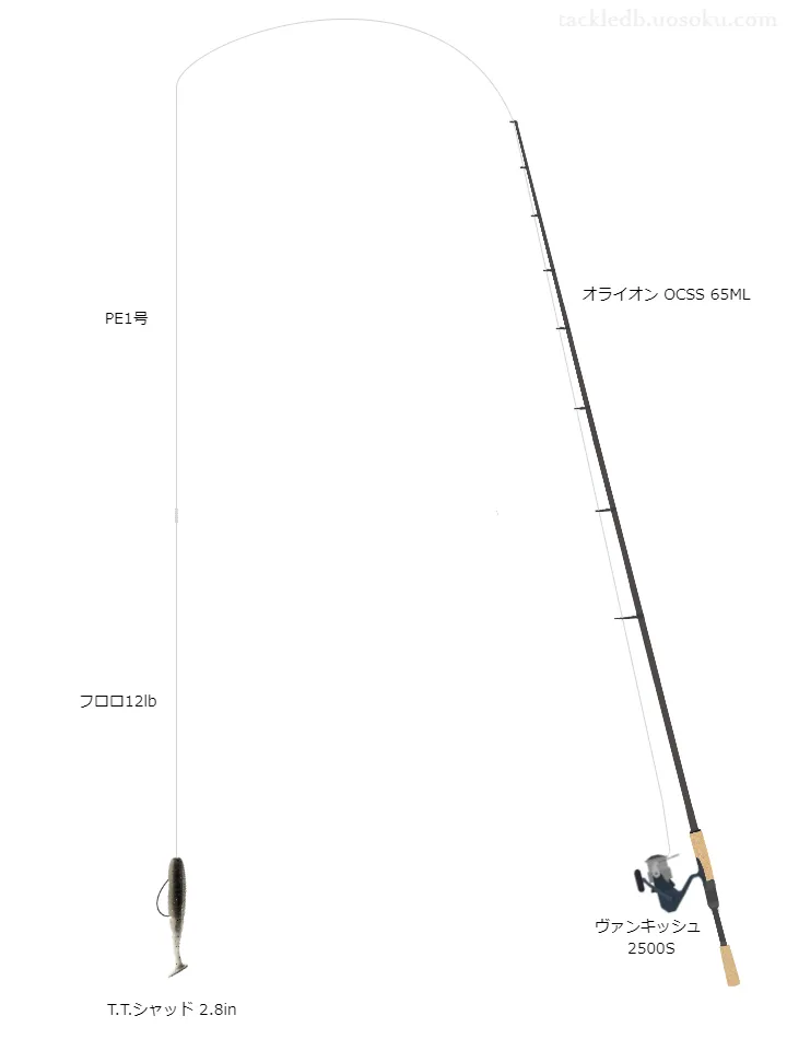 霞ヶ浦 TTシャッド ノーシンカーリグ用タックル