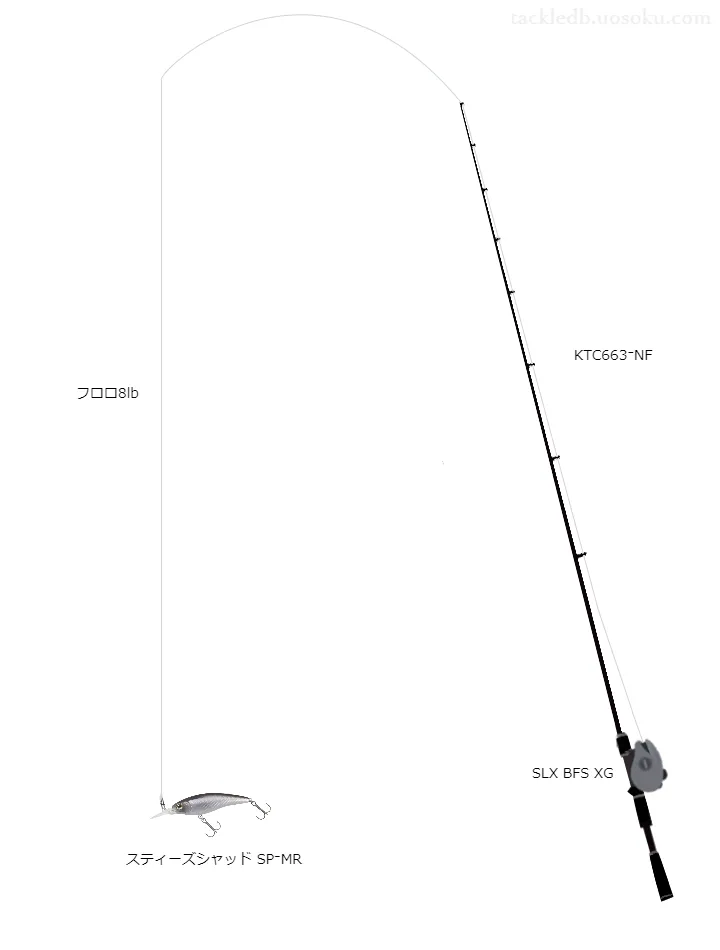 【霞ヶ浦】スティーズシャッド用タックル