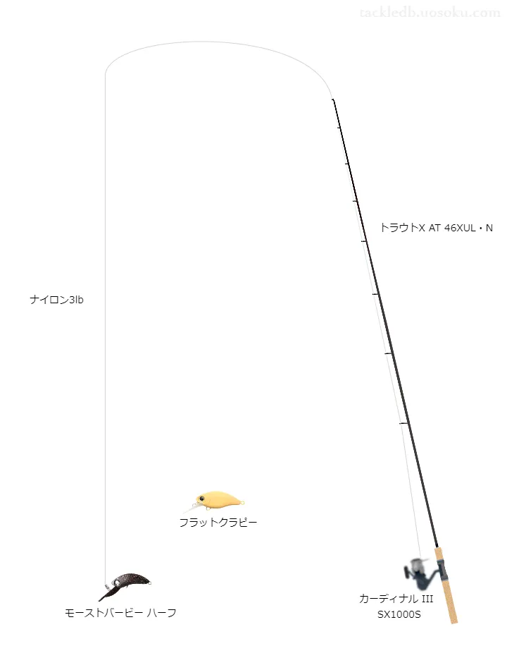 エリアトラウトに関するタックル、仕掛け図解