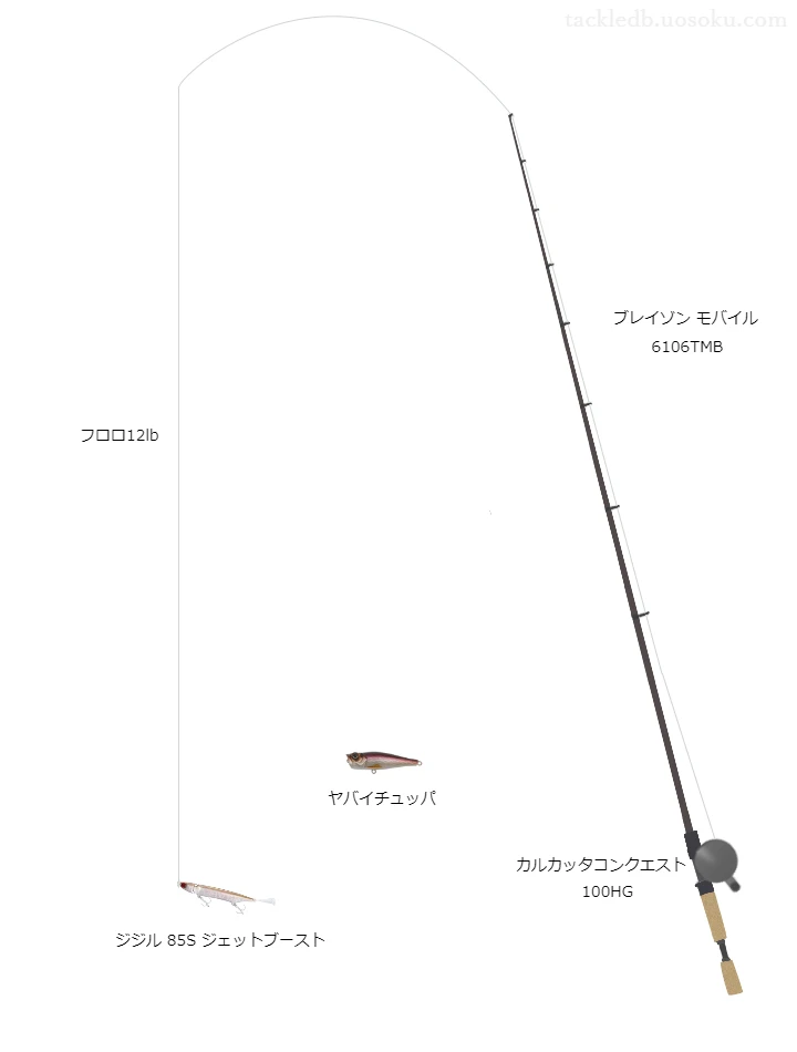 エクスレッド12lbをカルカッタコンクエスト100HGと共に使用したバスタックル【仮想インプレ】