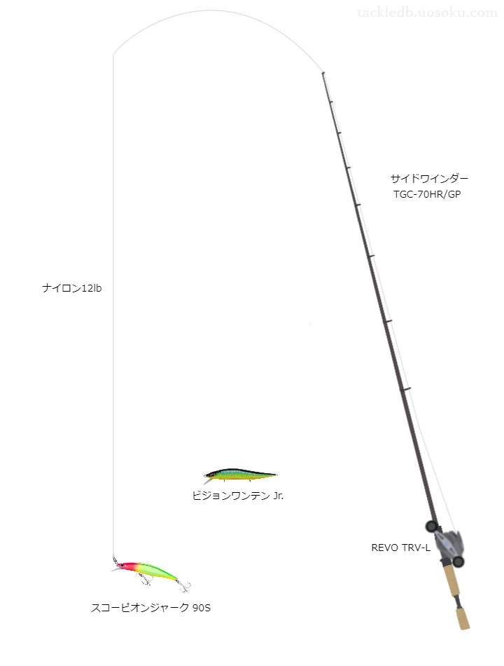 バス釣りに関するタックル、仕掛け図解