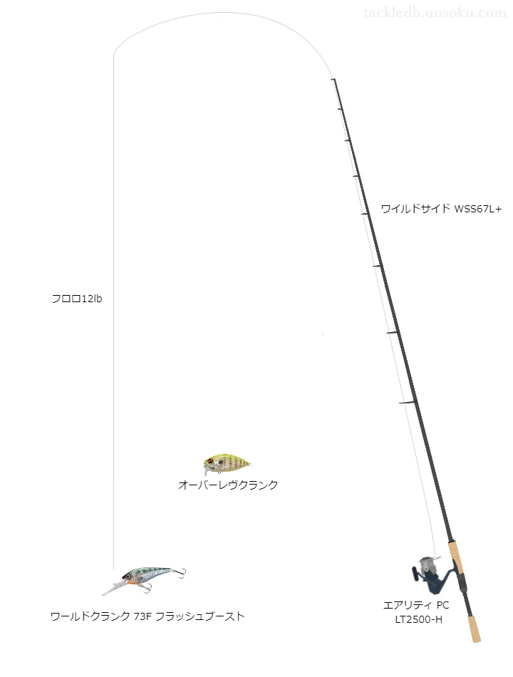 バス釣りに関するタックル、仕掛け図解