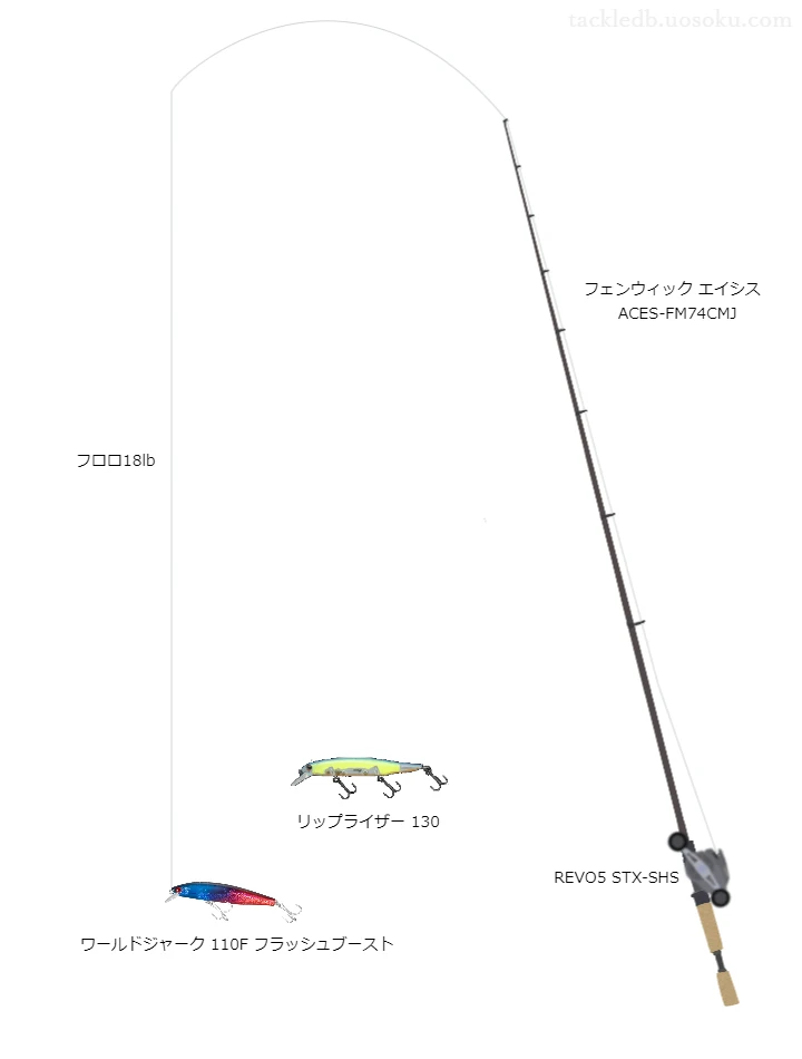 ティムコのロッドとアブガルシアのリールでワールドジャーク110Fフラッシュブーストを使うバスタックル。【四天木沼】