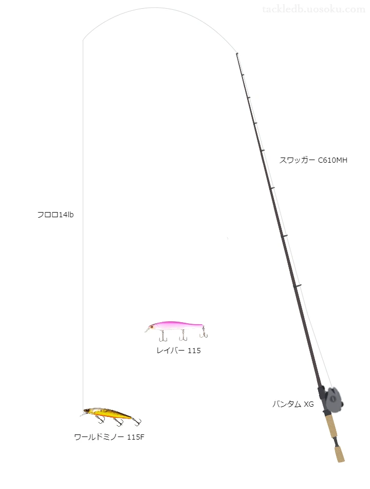 バス釣りに関するタックル、仕掛け図解