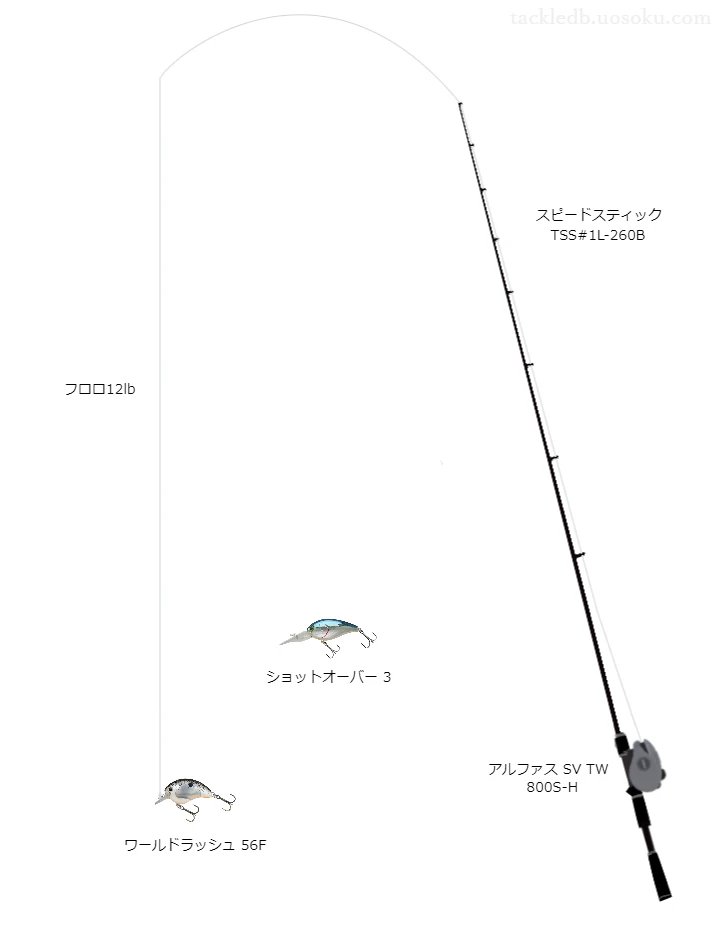 レッドスプールレグナム12lbをアルファスSVTW800S-Hと共に使用したバスタックル【仮想インプレ】