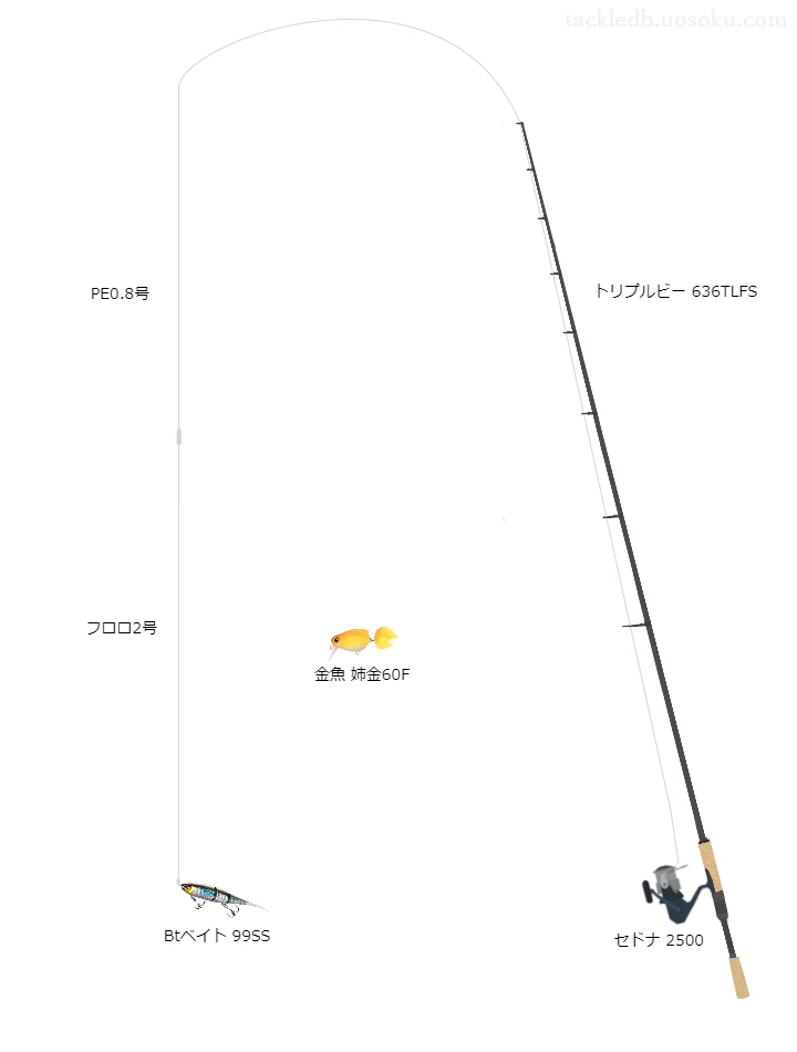 バス釣りに関するタックル、仕掛け図解