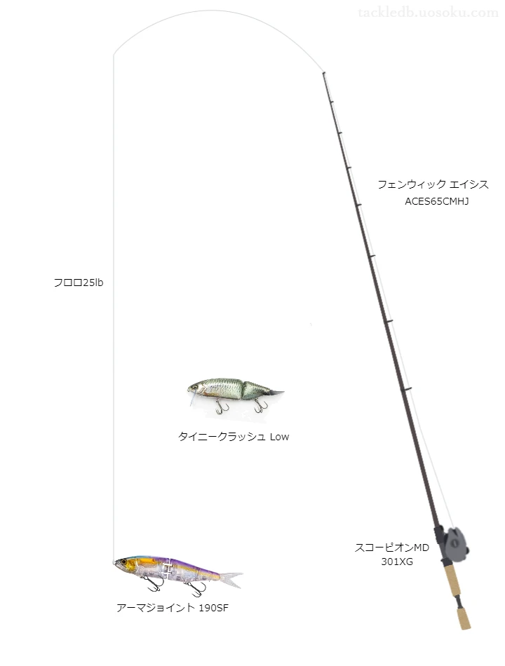 バス釣りに関するタックル、仕掛け図解