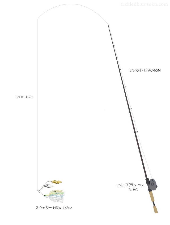 フロロブラスト16lbをアルデバランMGL31HGと共に使用したバスタックル【仮想インプレ】