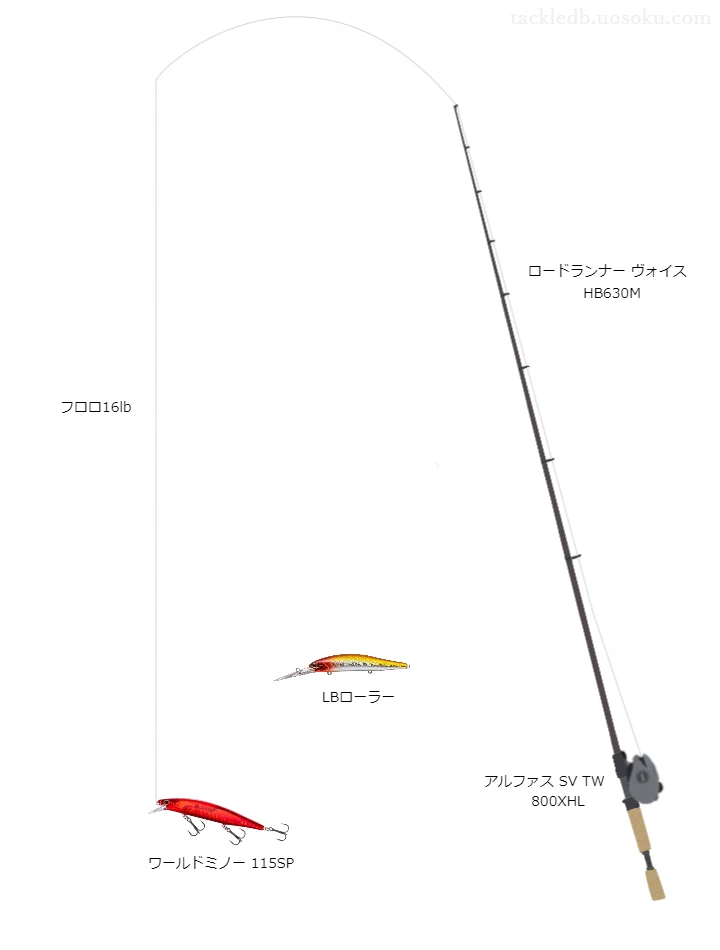 バス釣りに関するタックル、仕掛け図解