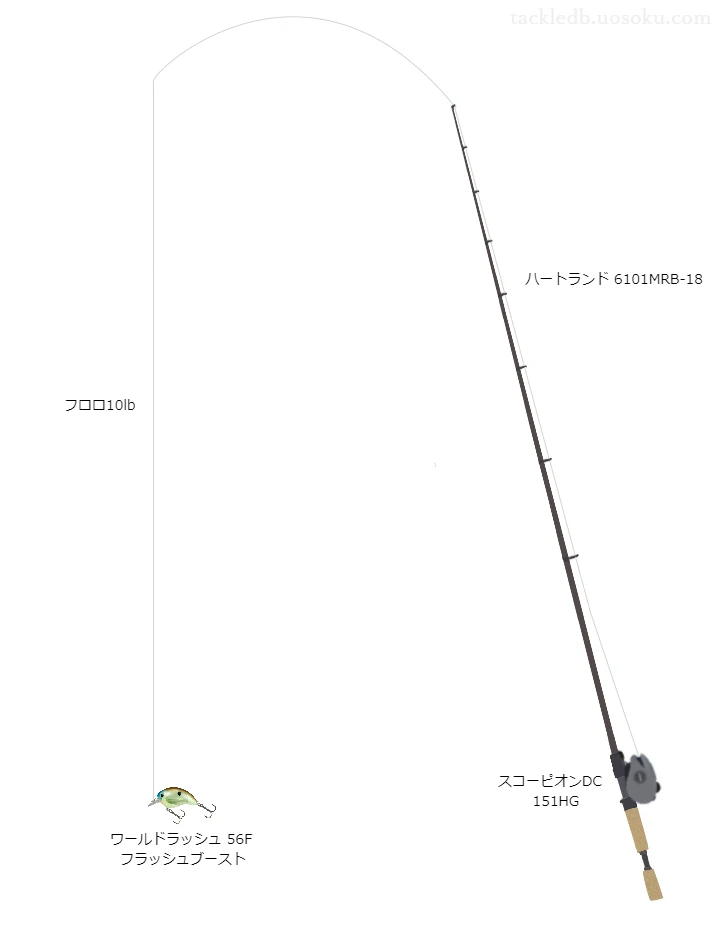 バス釣りに関するタックル、仕掛け図解