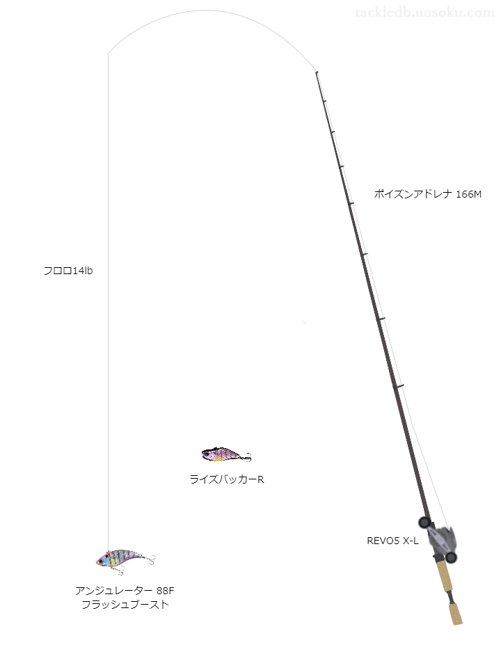 バス釣りに関するタックル、仕掛け図解