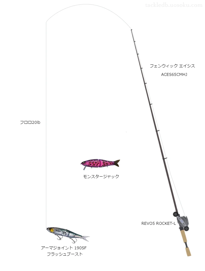 バス釣りに関するタックル、仕掛け図解