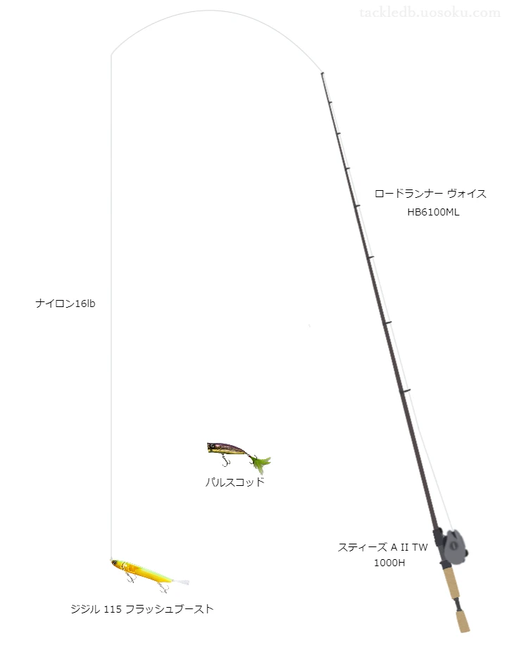 ロードランナーヴォイスHB6100MLとスティーズAIITW1000Hの組合せによるバスタックル【仮想インプレ】