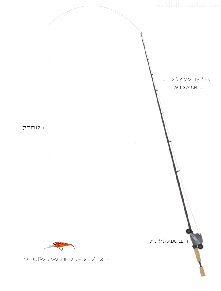 クランクベイトのためのバス釣りタックル【ワールドクランク73Fフラッシュブースト】