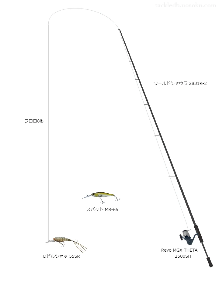 【小沢ダム】Dビルシャッド-シュリンプカスタム-55SRのためのバス釣りタックル【ワールドシャウラ2831R-2】