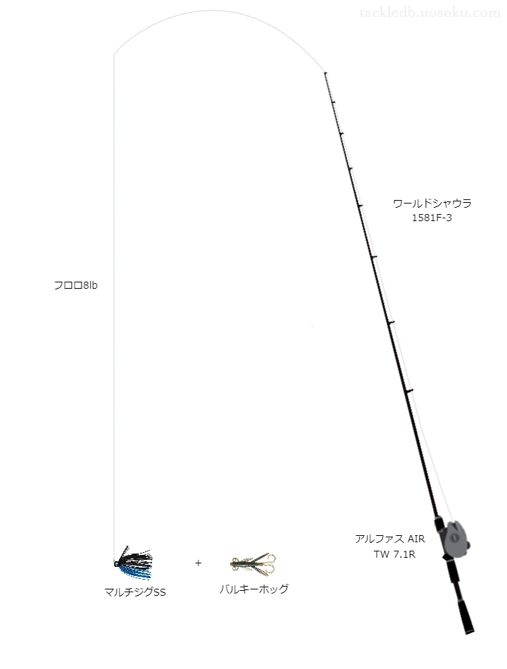 バス釣りに関するタックル、仕掛け図解