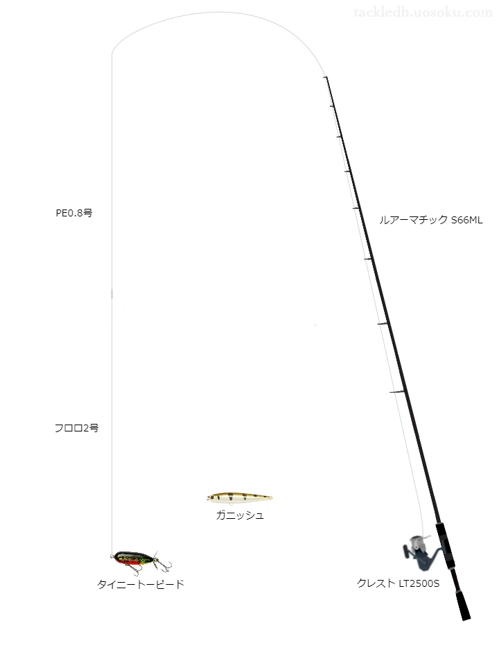 タイニートーピードのためのバス釣りタックル。シマノのロッドとダイワのリール