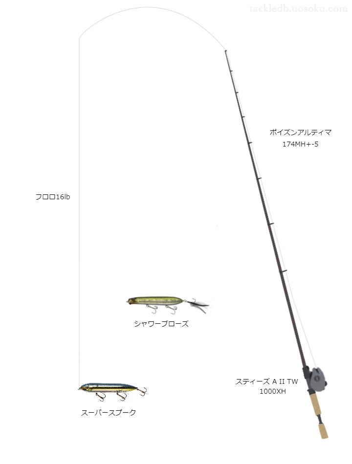 スーパースプーク（トップウォーター）のためのポイズンアルティマ174MH+-5を使ったバスタックル【仮想インプレ】