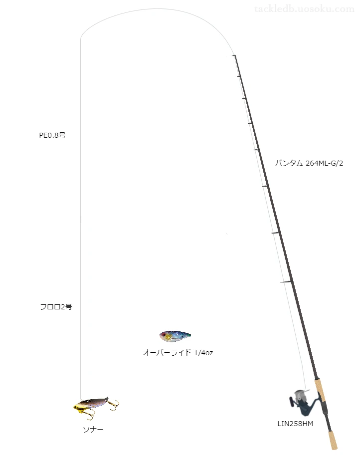 バス釣りに関するタックル、仕掛け図解