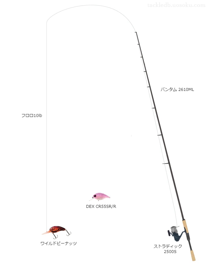 バス釣りに関するタックル、仕掛け図解