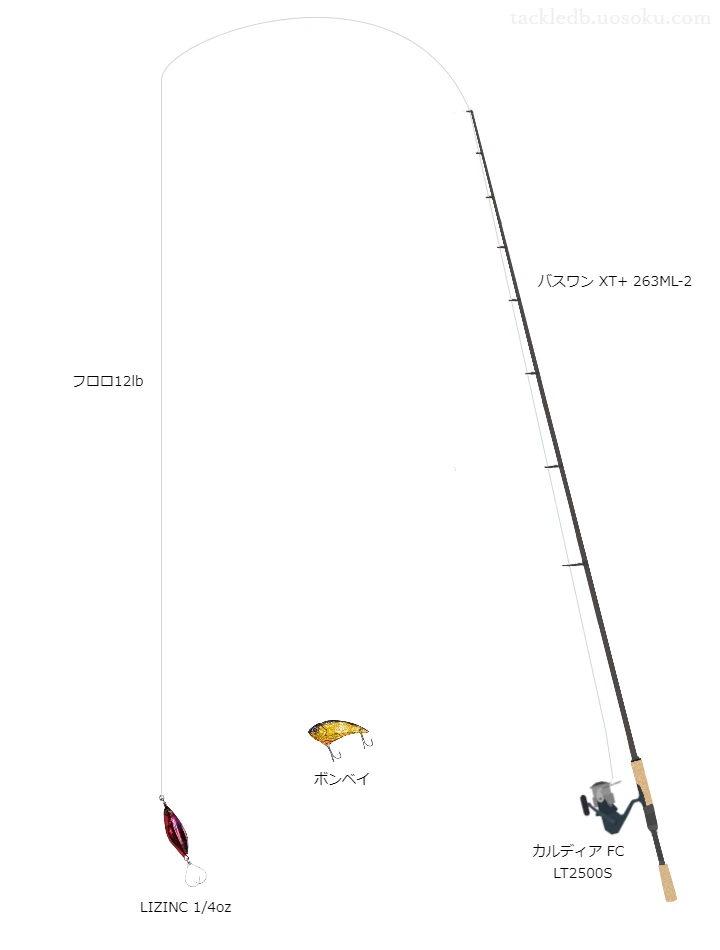 バス釣りに関するタックル、仕掛け図解