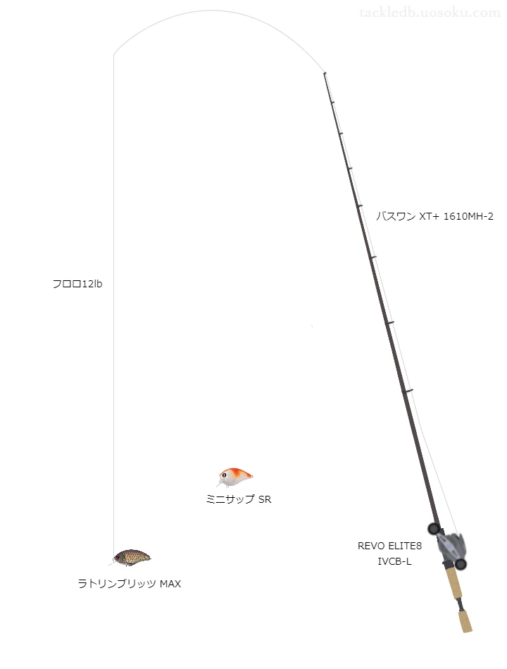 バス釣りに関するタックル、仕掛け図解