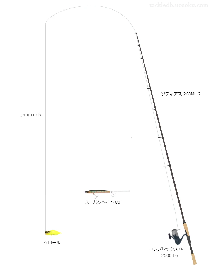 バス釣りに関するタックル、仕掛け図解