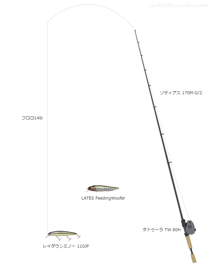 ゾディアス170M-G/2とダイワのリールでレイダウンミノー110JPを使用するタックル