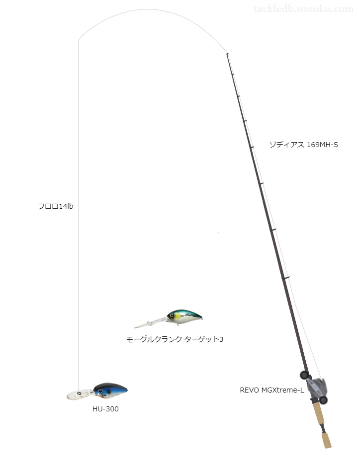 バス釣りに関するタックル、仕掛け図解