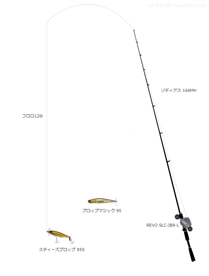 バス釣りに関するタックル、仕掛け図解