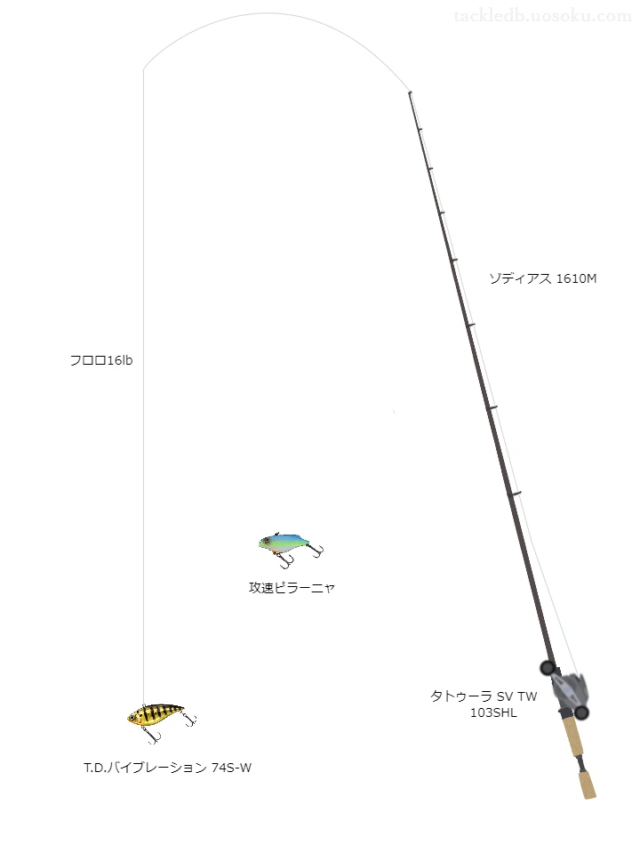 中級者に適したバス釣りタックル。ゾディアス1610Mとダイワのリール