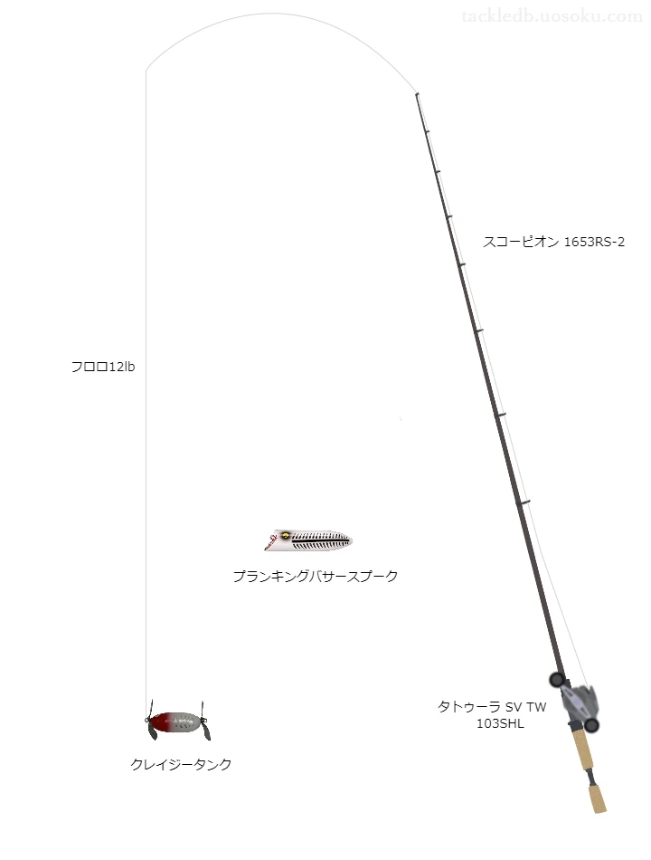 バス釣りに関するタックル、仕掛け図解