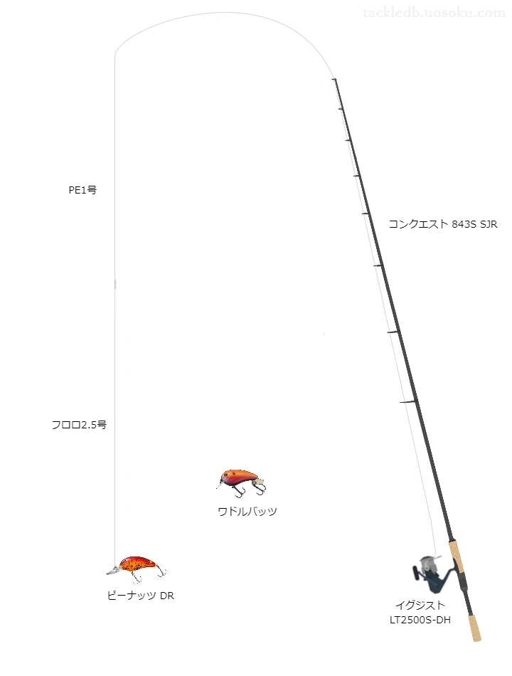 バス釣りに関するタックル、仕掛け図解