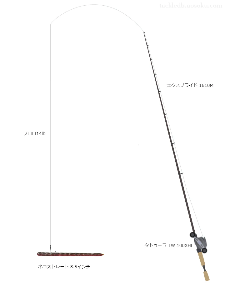 エクスプライド1610Mとダイワのリールでネコストレート8.5インチネコリグを使用するタックル