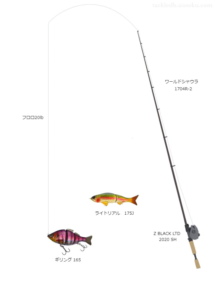 バス釣りに関するタックル、仕掛け図解