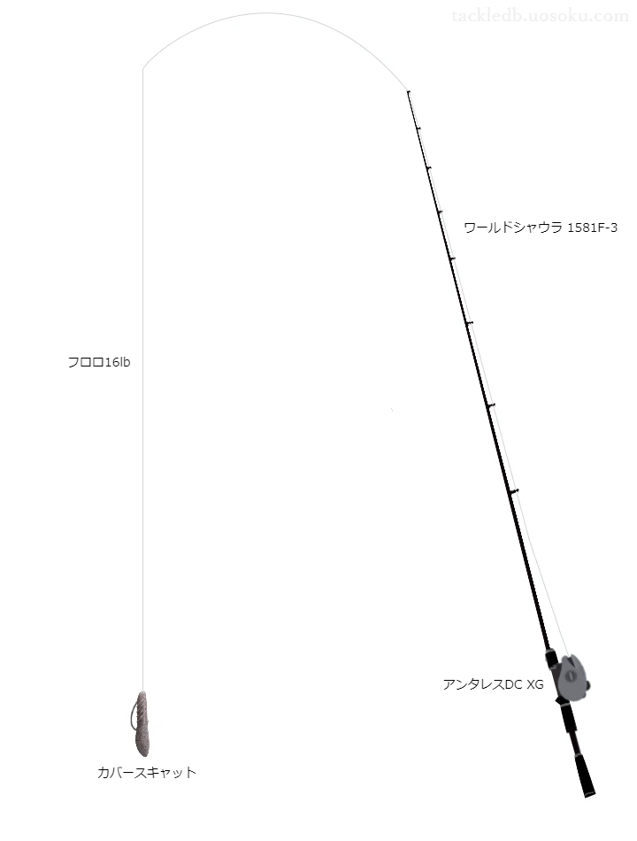 バス釣りに関するタックル、仕掛け図解