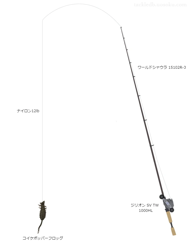 コイケポッパーフロッグのためのバス釣りタックル。シマノのロッドとダイワのリール