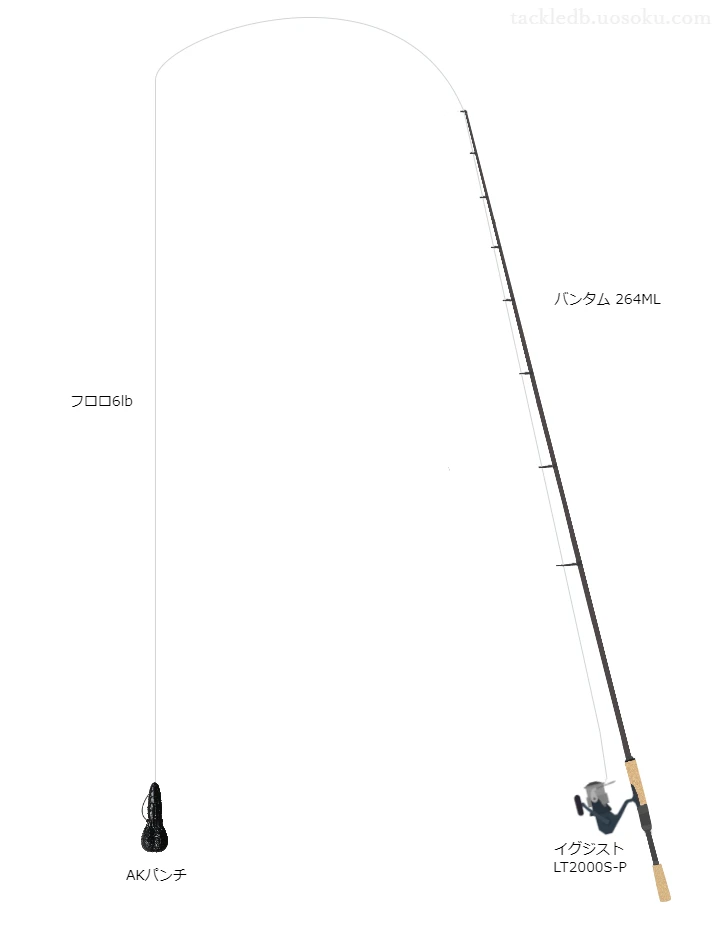 バス釣りに関するタックル、仕掛け図解