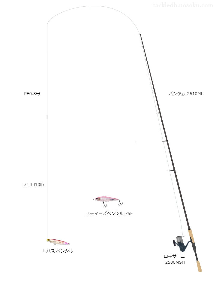 バス釣りに関するタックル、仕掛け図解