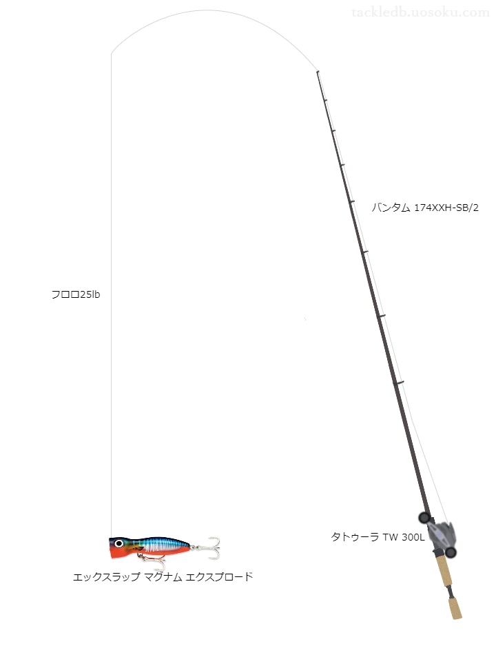 バス釣りに関するタックル、仕掛け図解