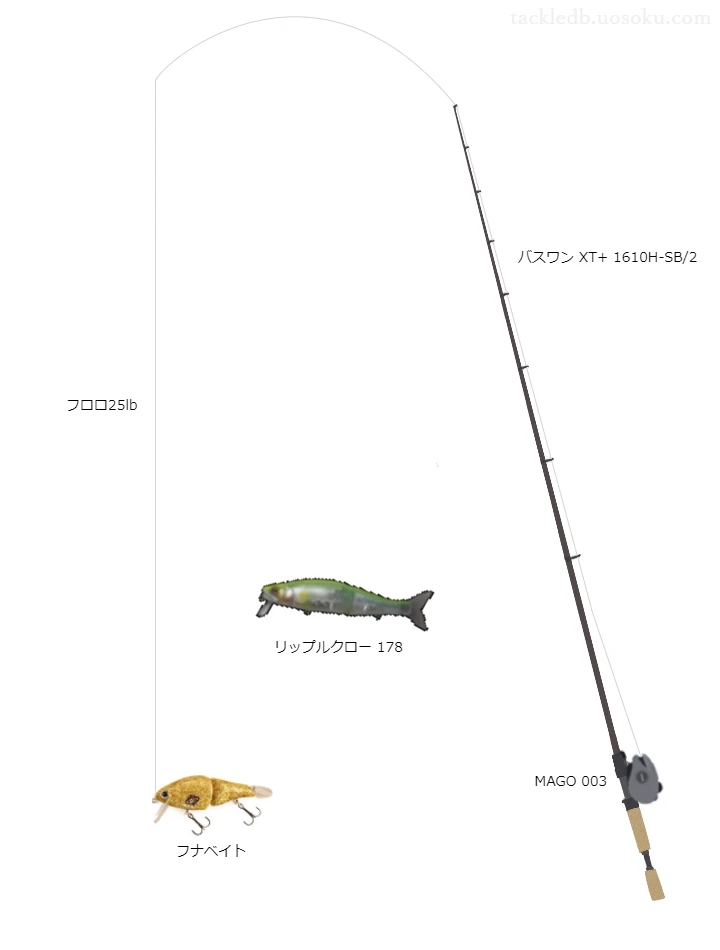 バス釣りに関するタックル、仕掛け図解