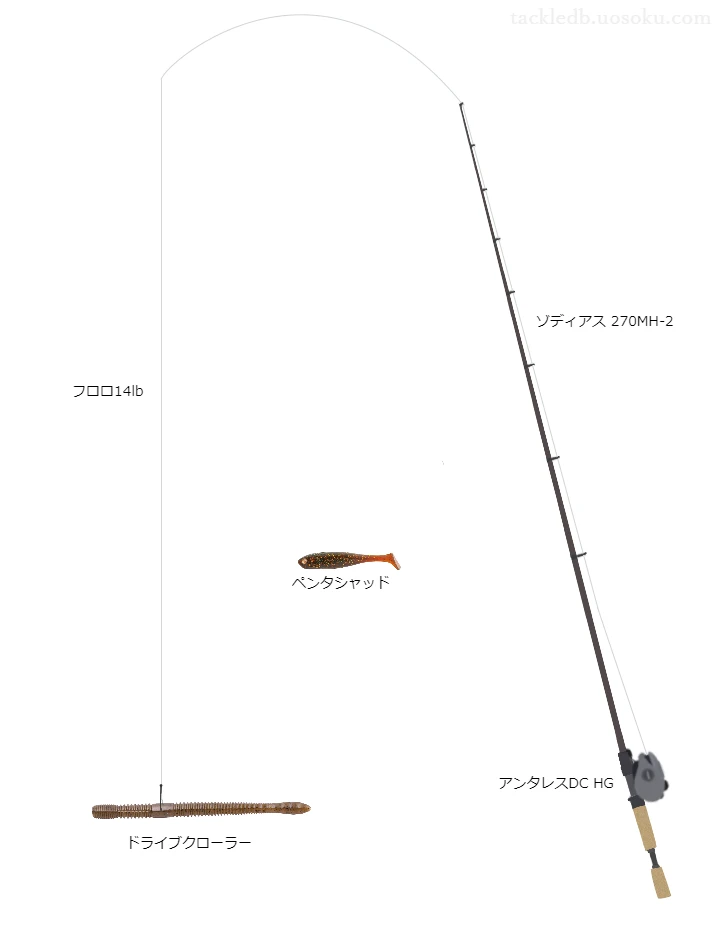 バス釣りに関するタックル、仕掛け図解