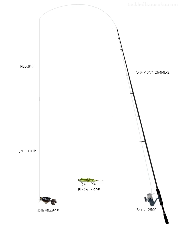 金魚姉金60Fのためのバス釣りタックル【ジョイントベイト】