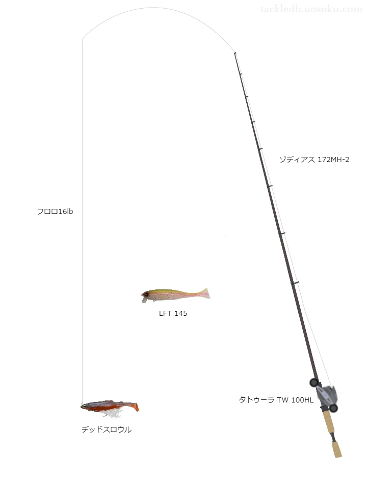 バス釣りに関するタックル、仕掛け図解