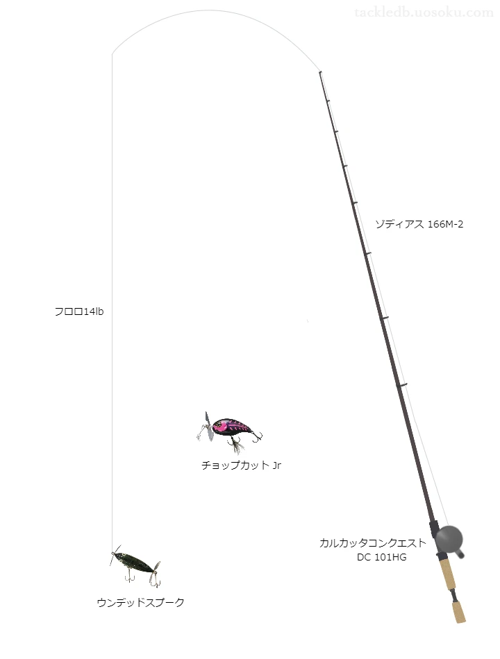 ウンデッドスプークのためのバス釣りタックル。シマノのロッドとシマノのリール