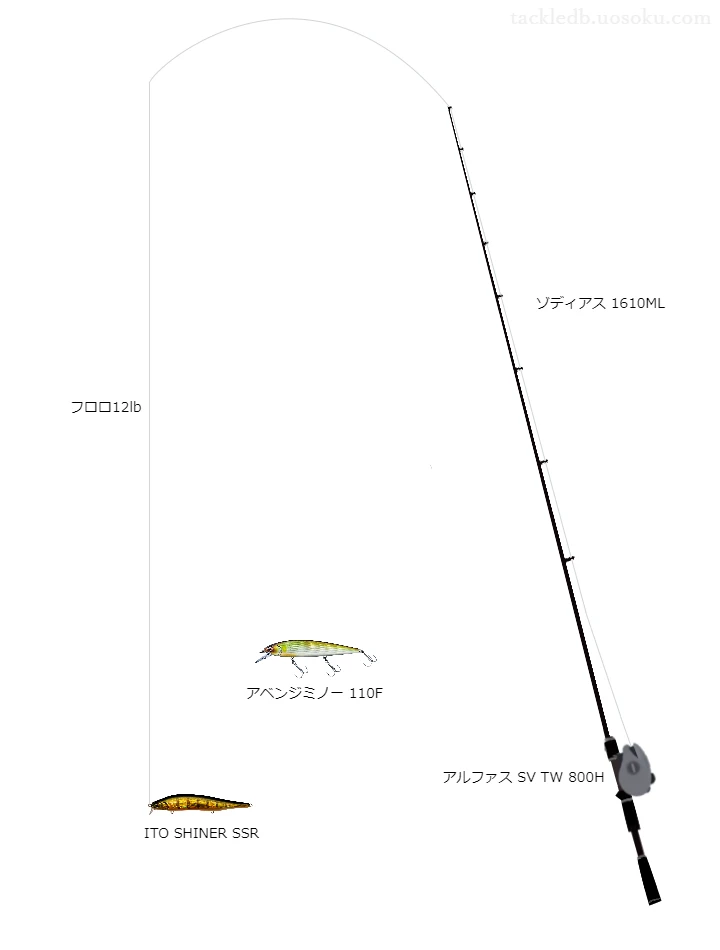 エクスレッド12lbをアルファスSVTW800Hと共に使用したバスタックル【仮想インプレ】