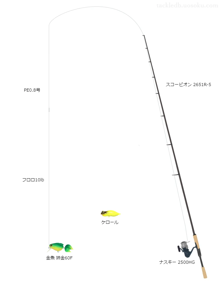 スコーピオン2651R-5とシマノのリールで金魚姉金60Fを使用するタックル