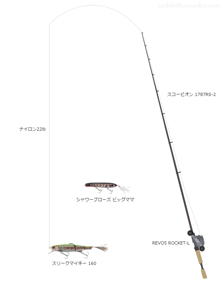 バス釣りに関するタックル、仕掛け図解